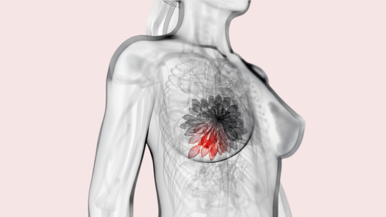 병원 컨텐츠 이미지