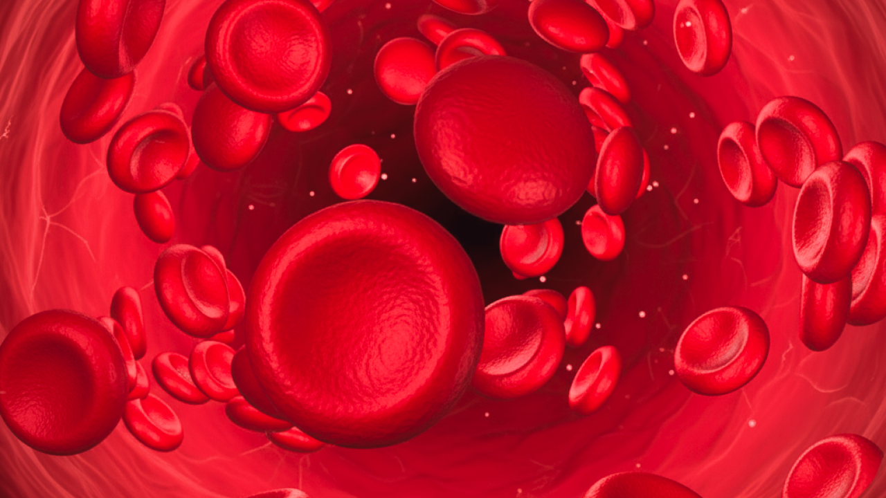 병원 컨텐츠 이미지