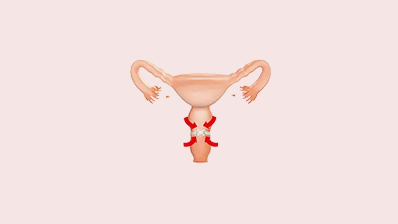 병원 컨텐츠 이미지